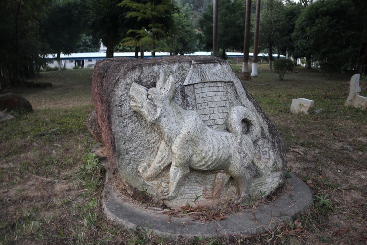 北峰山狗雕刻石