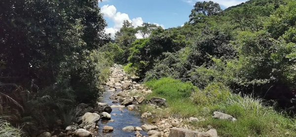 北峰山林间小溪