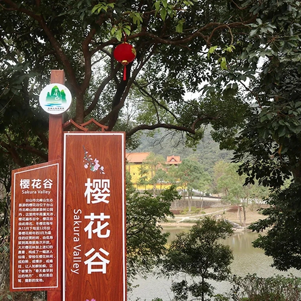 广东北峰山樱花谷