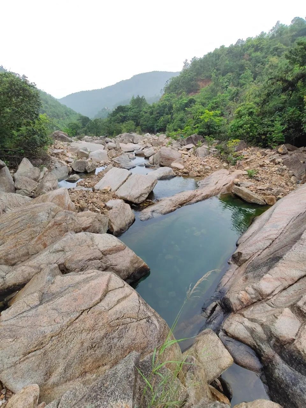 北峰山国家森林公园推介会