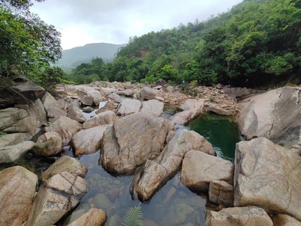 北峰山国家森林公园推介会