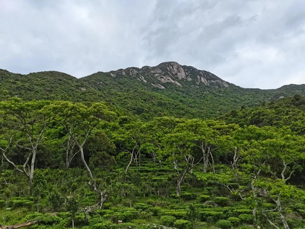 北峰山国家森林公园推介会