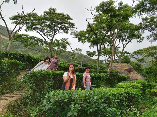 北峰山国家森林公园推介会