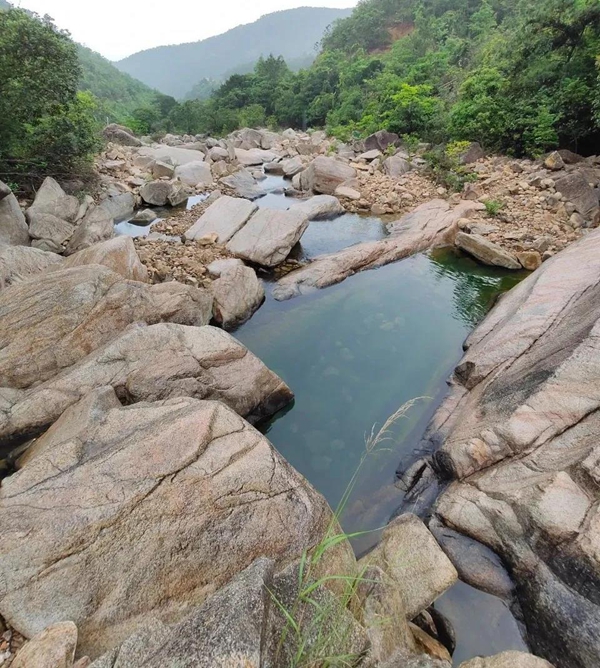 北峰山森林美景