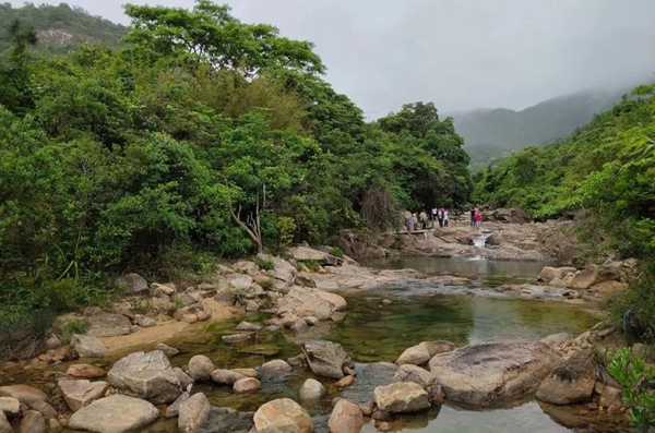 北峰山森林美景