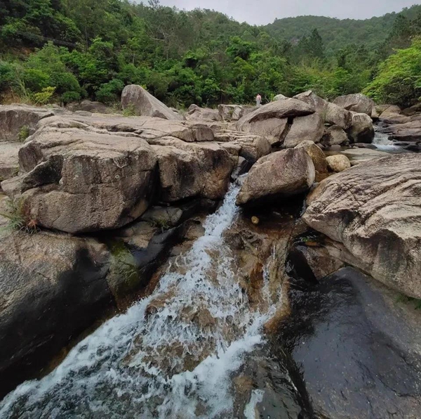 北峰山森林美景