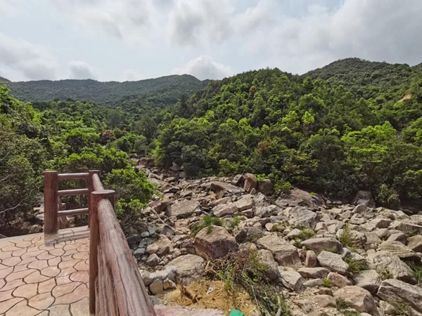 北峰山森林美景