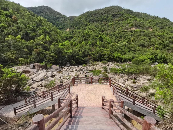 北峰山森林美景