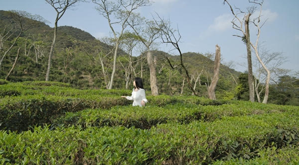 北峰山国家森林公园