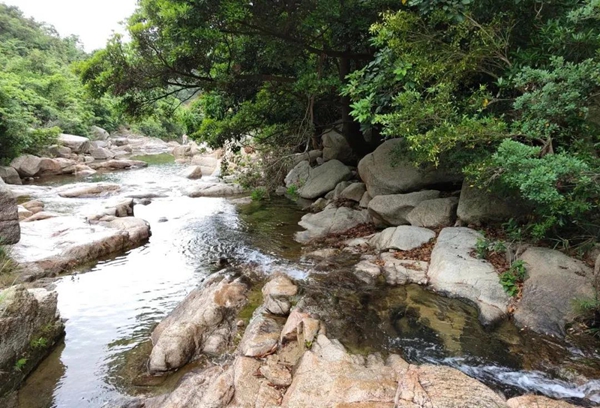 北峰山森林公园