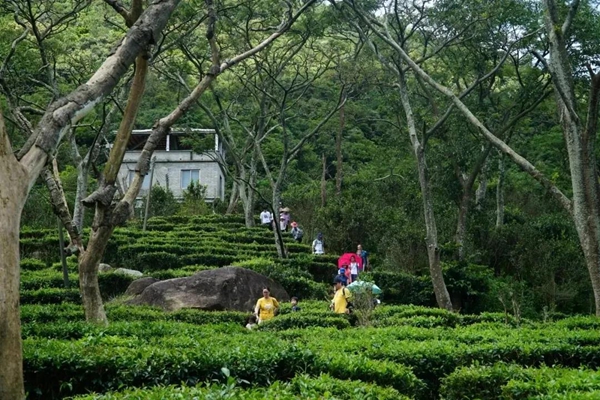 北峰山森林公园