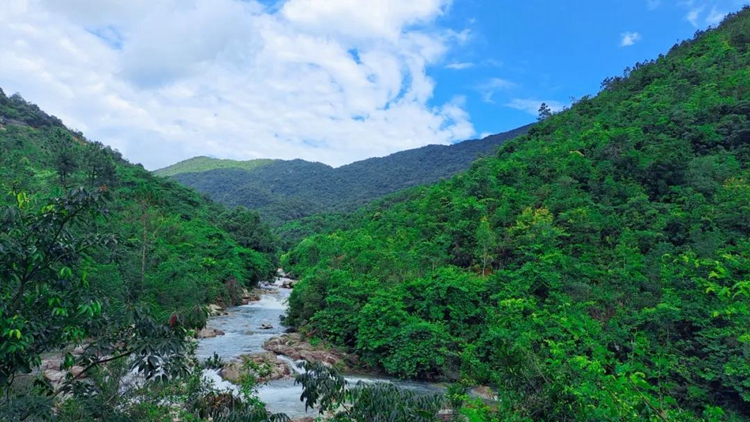 北峰山国家森林公园