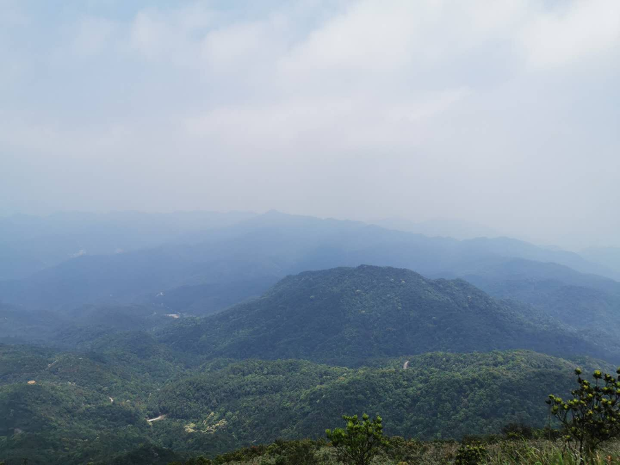 柳州推荐北峰山森林公园生产厂家
