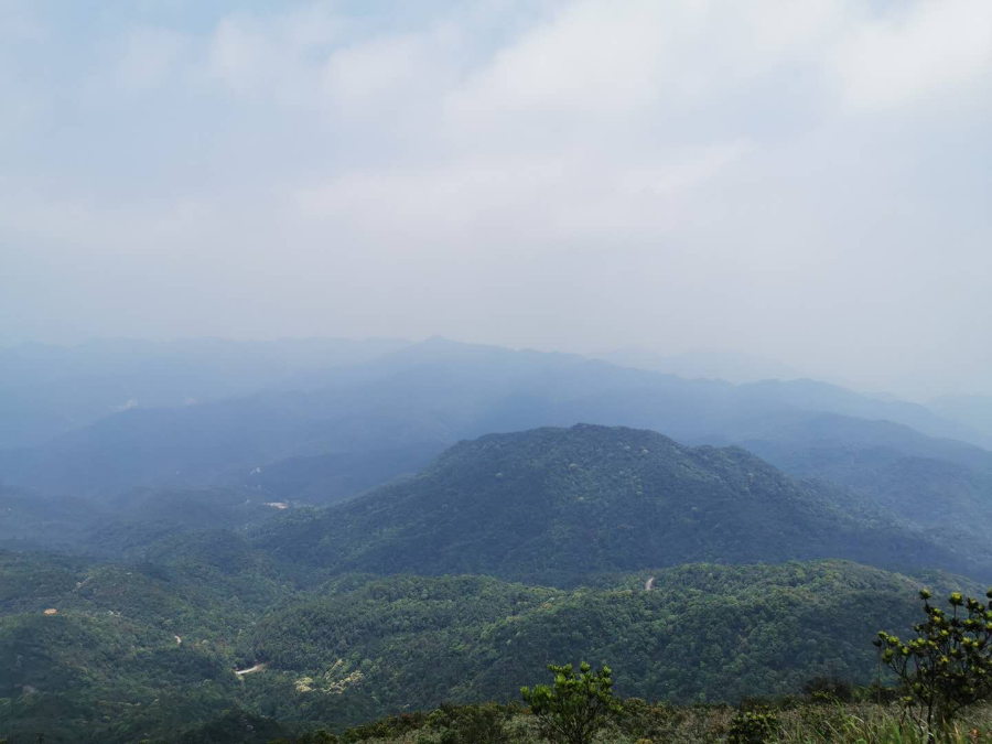 清远选择北峰山森林公园生产厂家