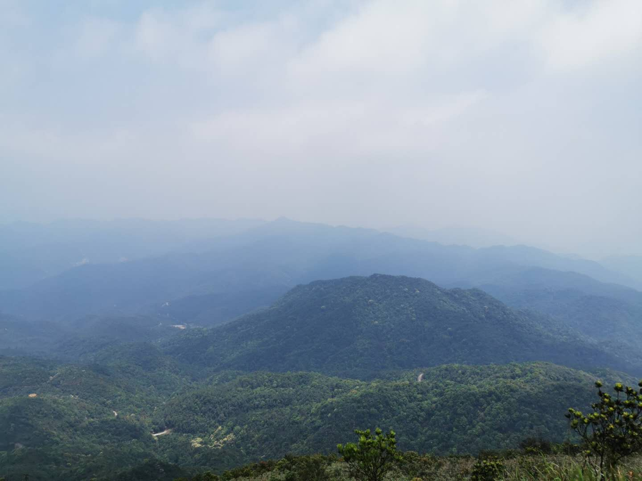 连州选择北峰山国家森林公园生产厂家